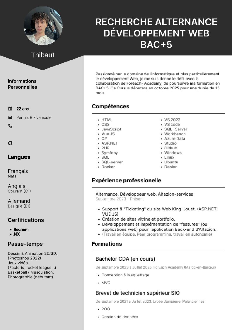 CV-THIBAUT-DEV
